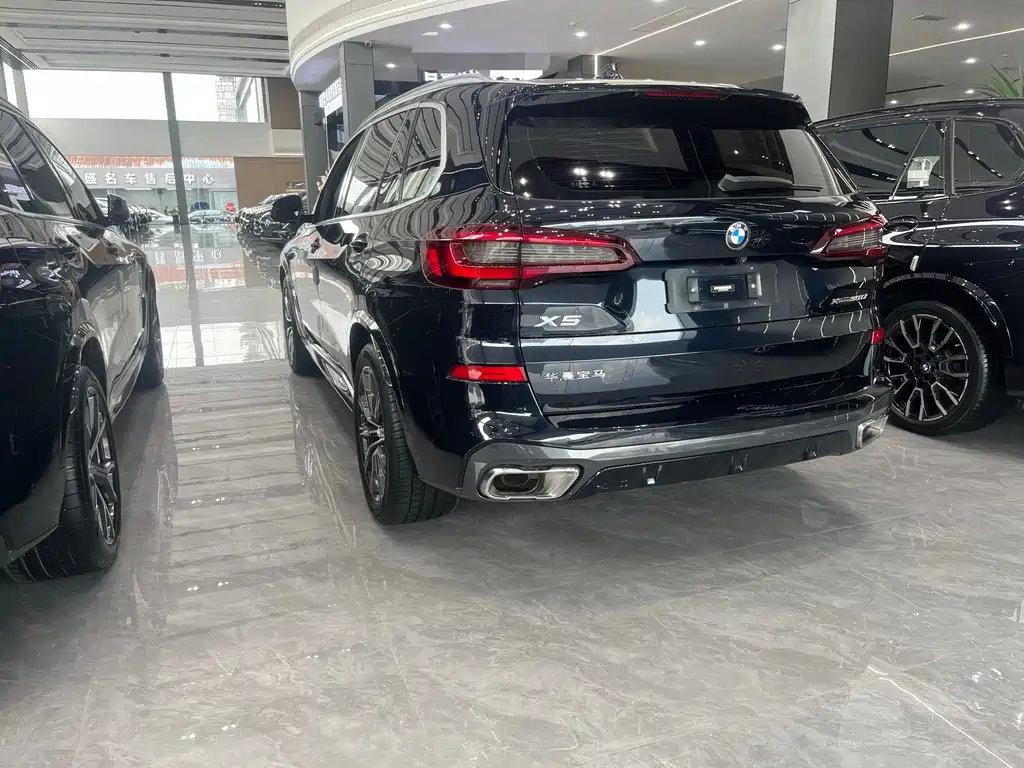 BMW X5 — миниатюра 10