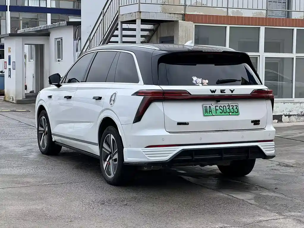 Wey Wey Lanshan — миниатюра 14