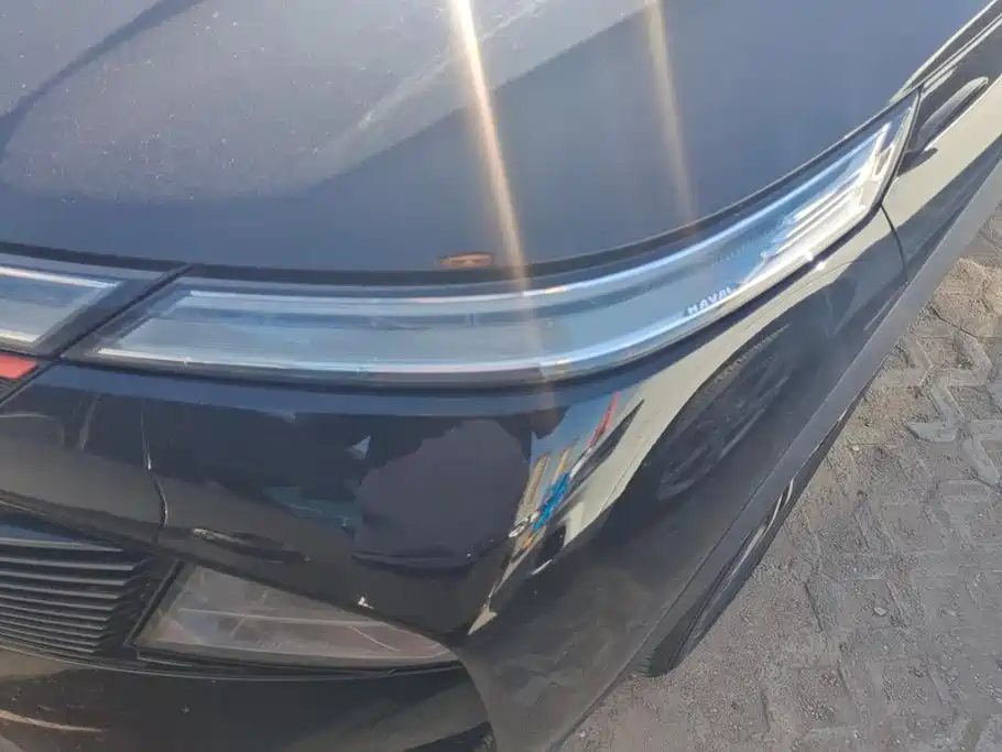 Haval Shenshou — миниатюра 5