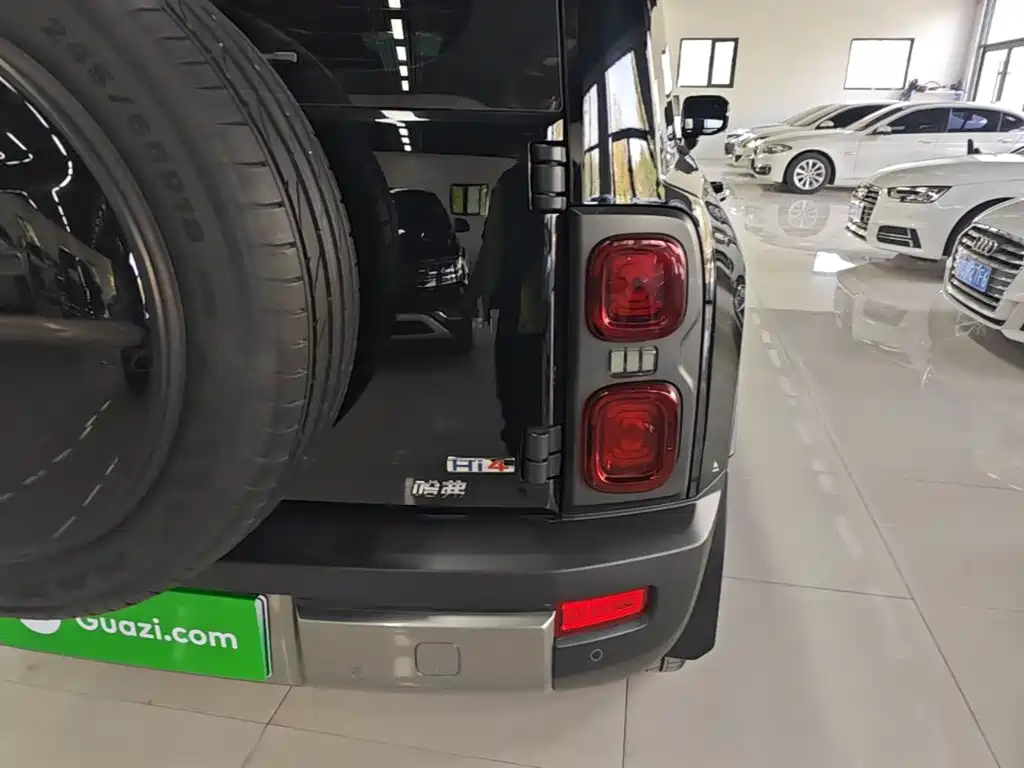 Haval Menglong New Energy — миниатюра 8