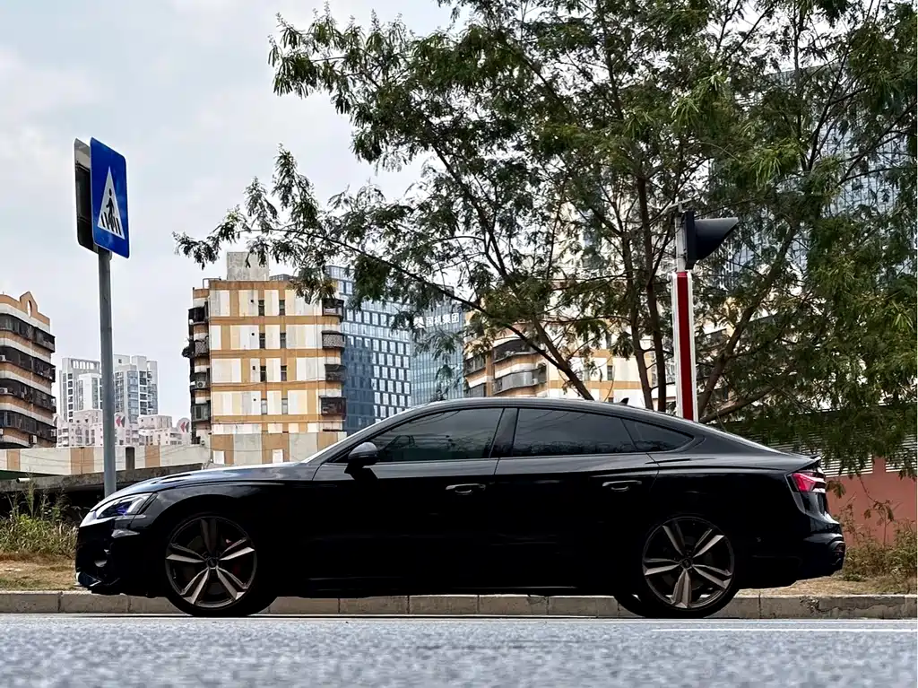 Audi RS 5 RS 5 2.9T Sportback Dark Gold Edition, фото 13