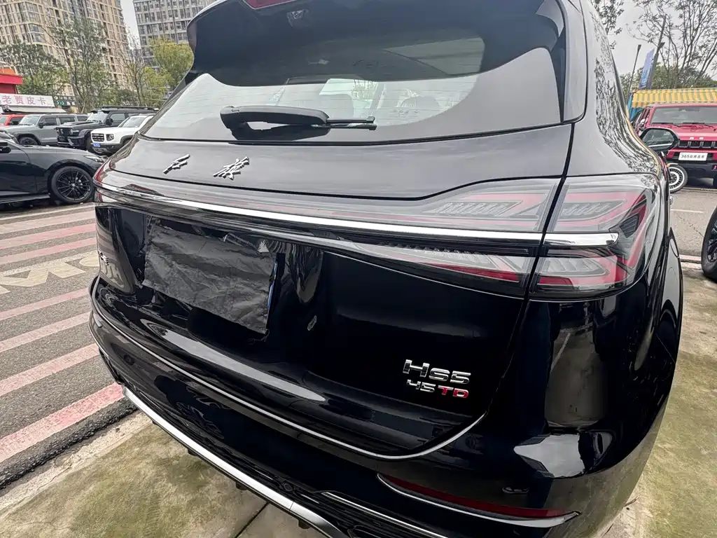 Hongqi Hongqi HS5 — миниатюра 16