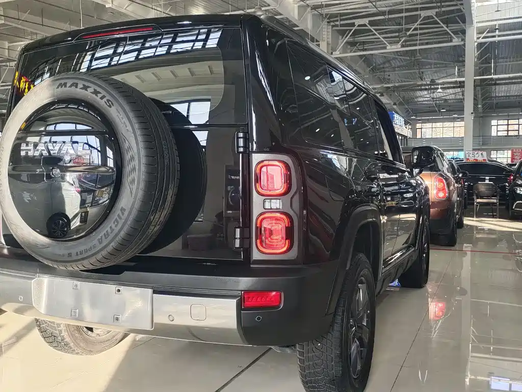 HAVAL RAPTORS NEW ENERGY