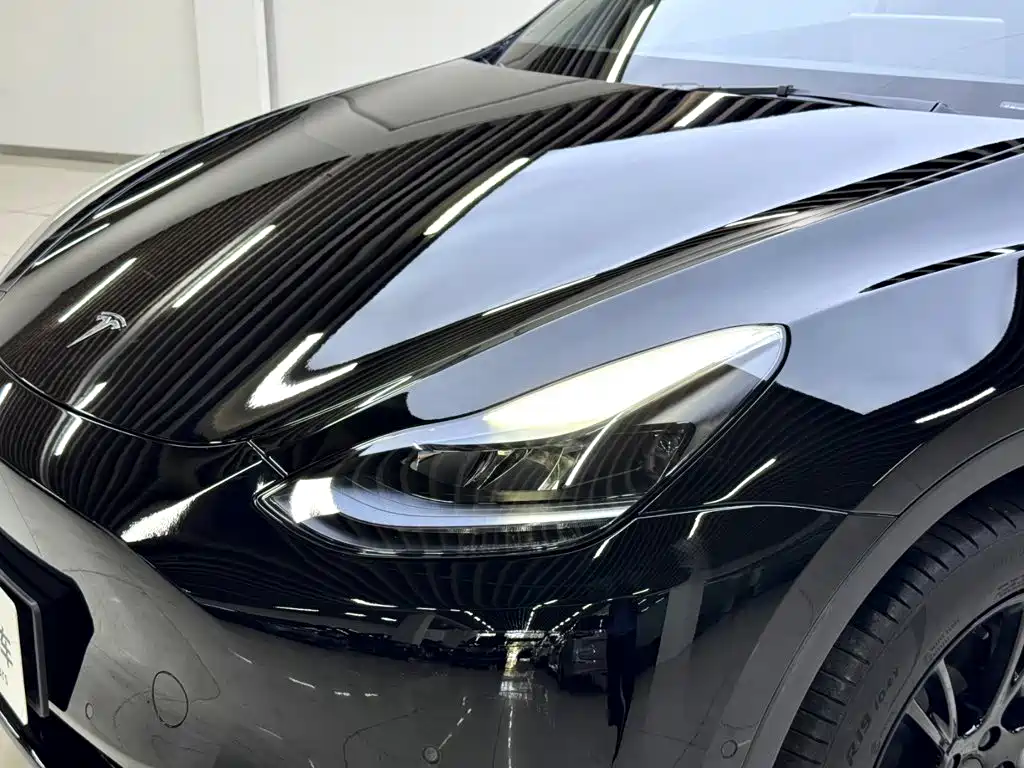 Tesla Model Y — миниатюра 6