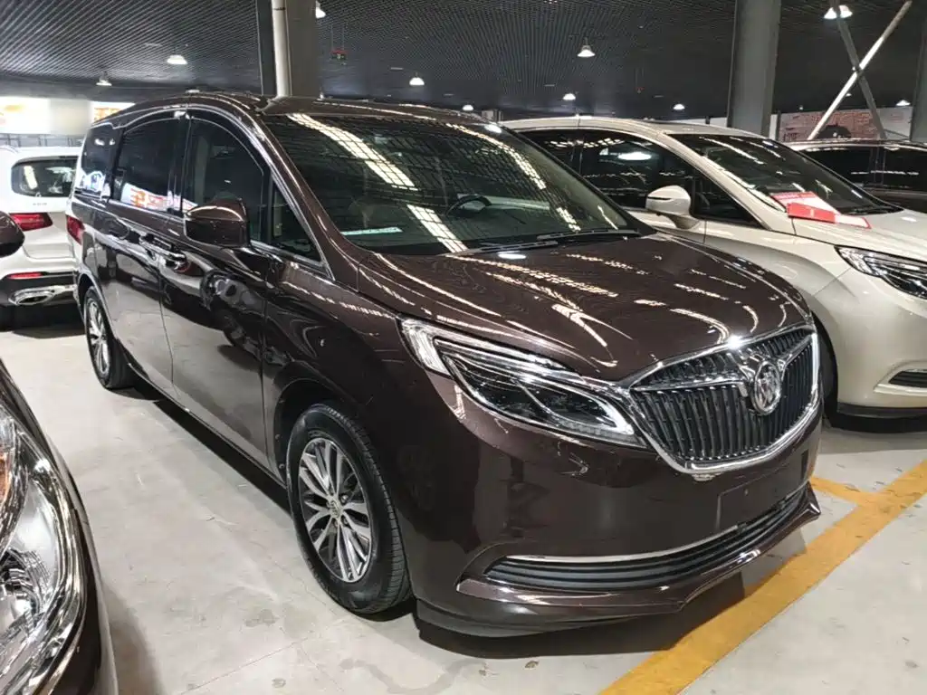 Buick GL8 — миниатюра 4