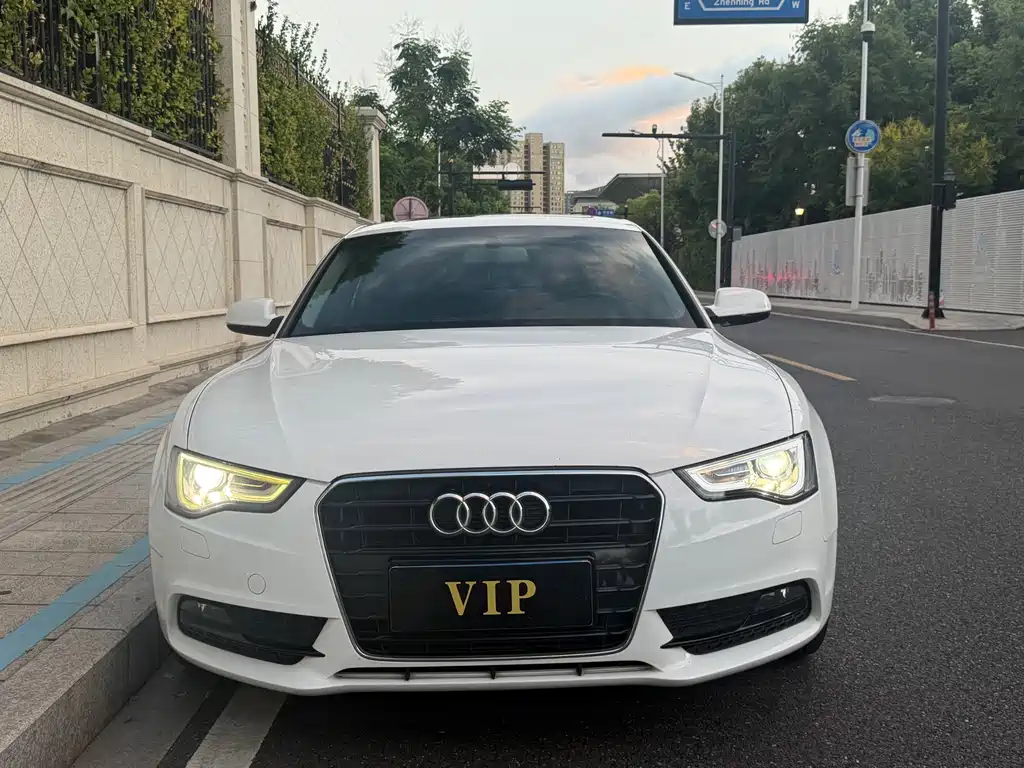 Audi A5 (Import) — миниатюра 2
