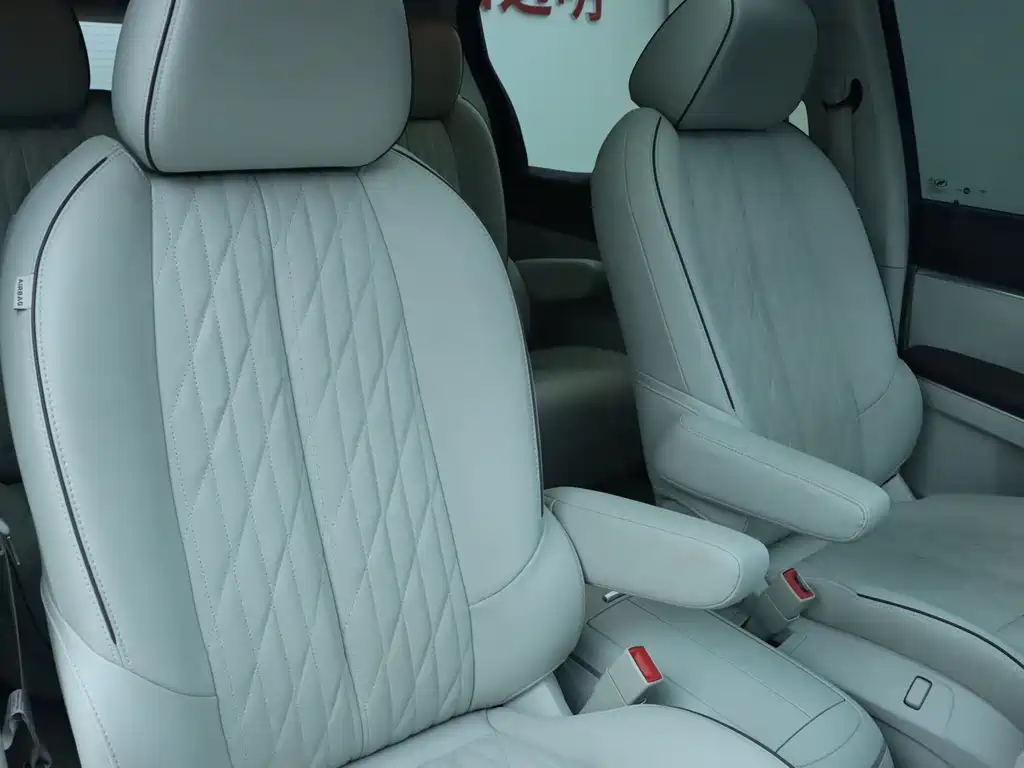 Buick GL8 Land Business Class 652T Luxury Type, фото 10