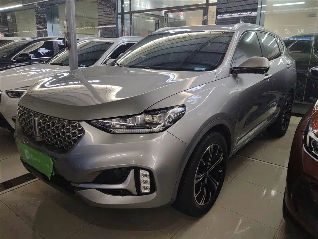 Wey Wey VV6 2021
