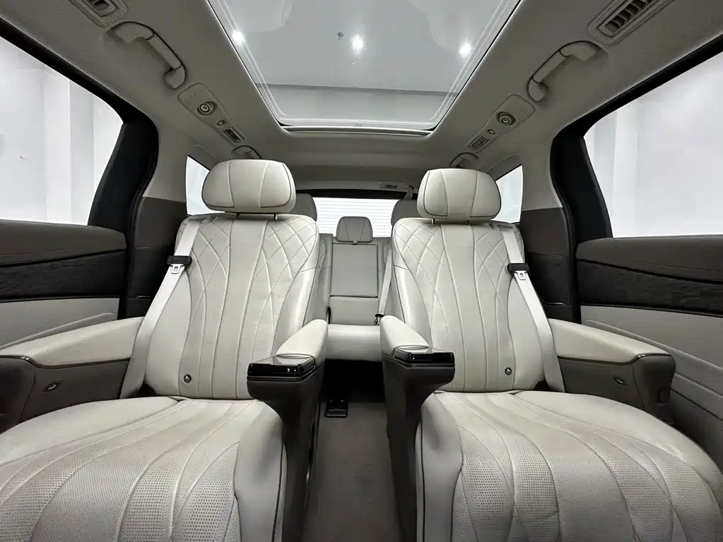 Denza Denza D9 — миниатюра 16