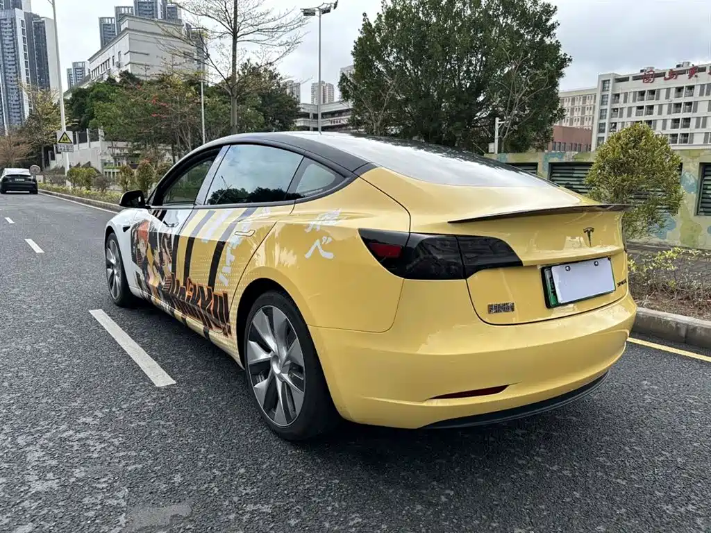 TESLA MODEL 3