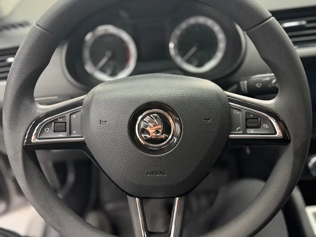 Skoda Octavia 1.5L Auto Comfort Enjoy Edition, фото 12
