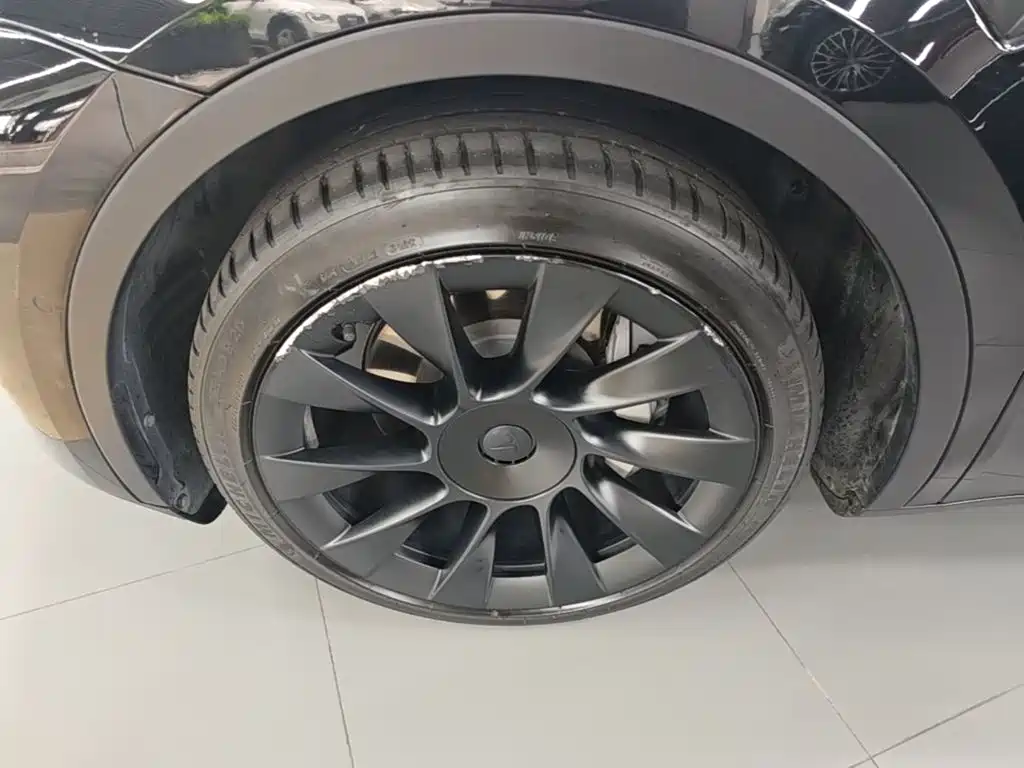 Tesla Model Y — миниатюра 23