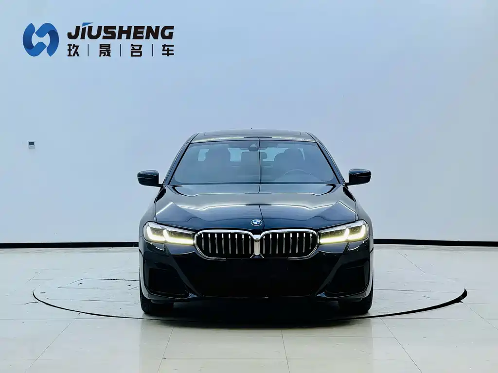 BMW 5 Series — миниатюра 2