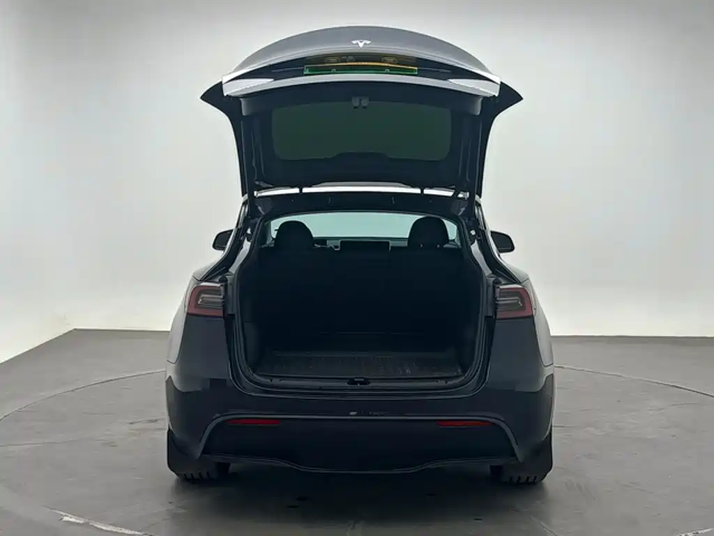Tesla Model Y — миниатюра 7