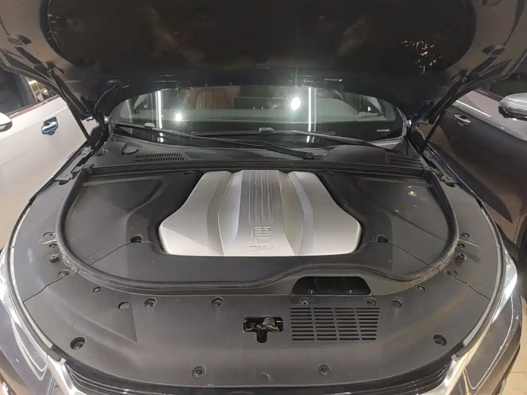 BYD Tang New Energy — миниатюра 20