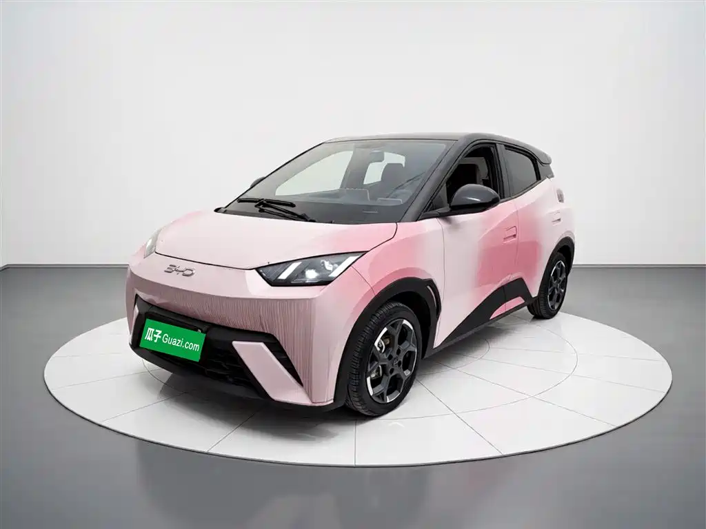 Byd Seagull 2024