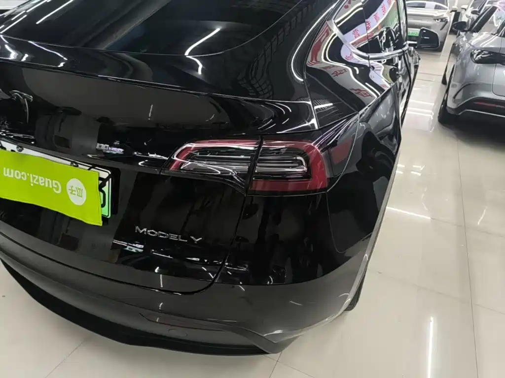 Tesla Model Y — миниатюра 24