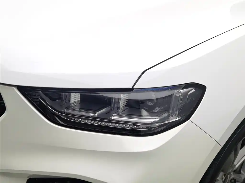 WEI PAI WEI BRAND VV5