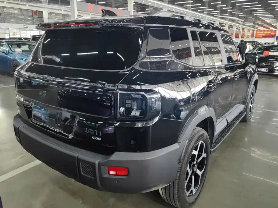 Shanhai Shanhai T1 — миниатюра 3