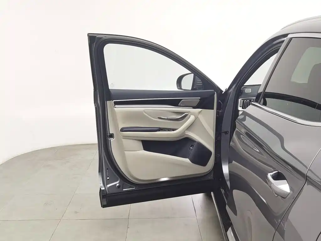 BYD PLUS New Energy — миниатюра 8