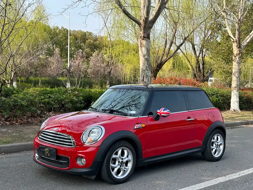 Mini Mini 2014