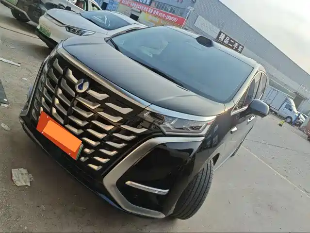 2025 Denza D9