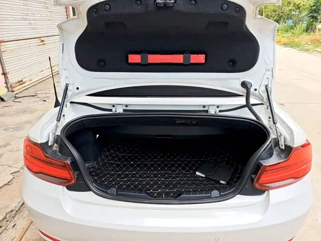 BMW 2 Series (Import) — миниатюра 19