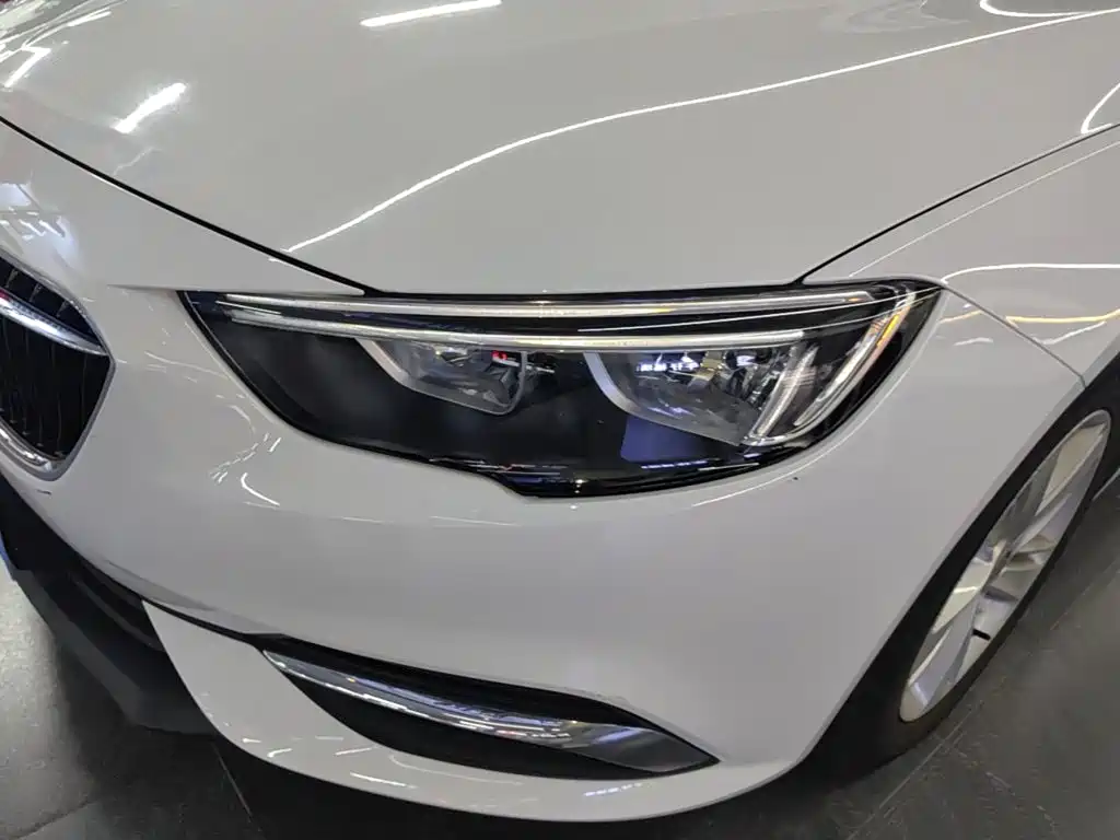 Buick Regal — миниатюра 24