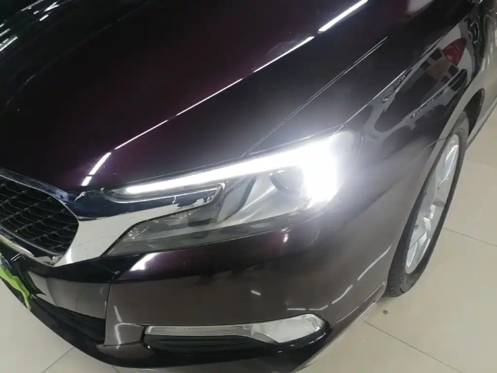 DS DS 5LS — миниатюра 24