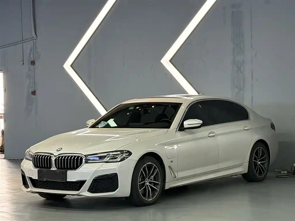 BMW 5 Series New Energy 2021