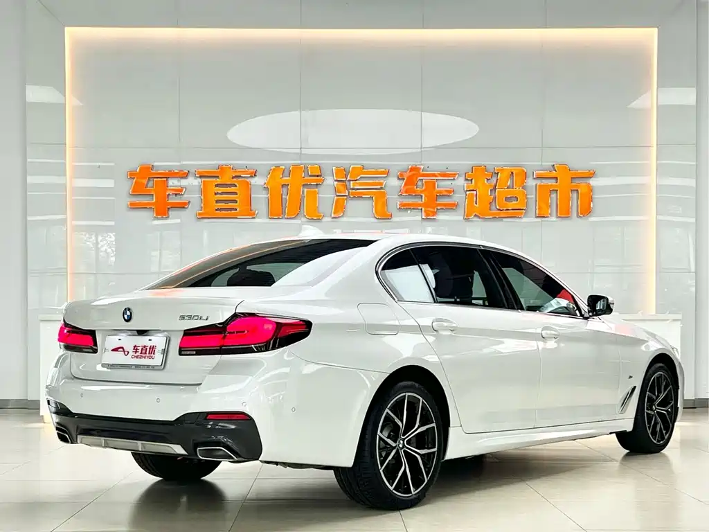 BMW 5 Series — миниатюра 5