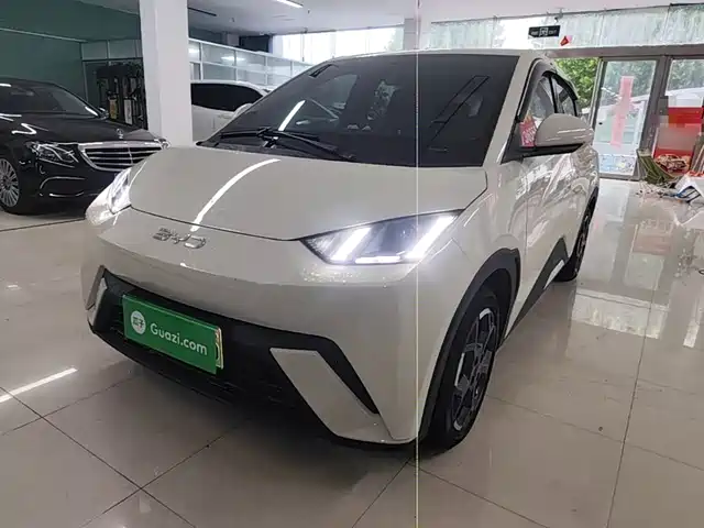 2025 BYD Seagull