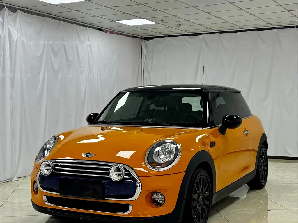 Mini Mini 2018