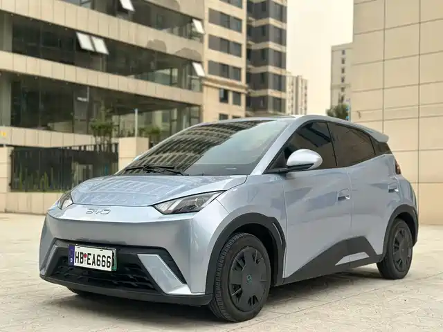 2024 BYD Seagull