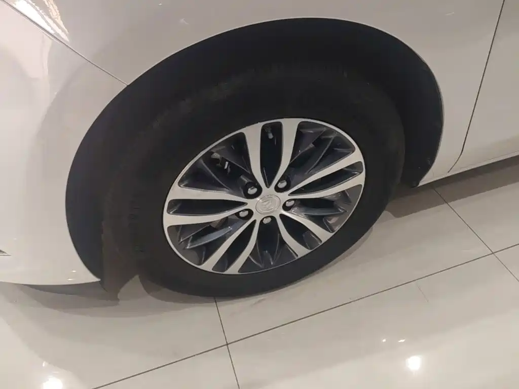Buick GL8 — миниатюра 23