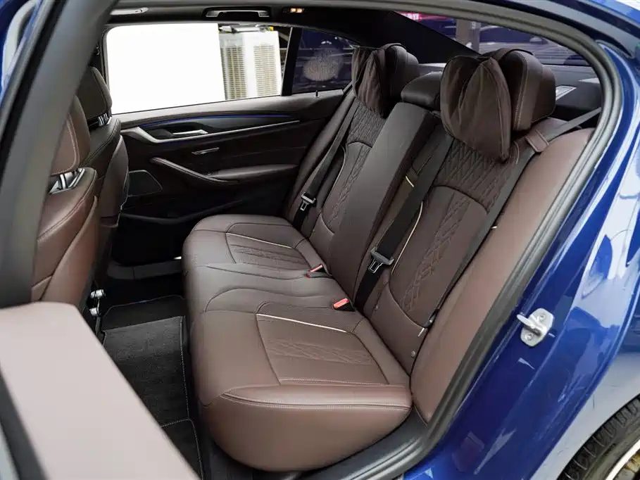 BMW 5 Series 5 2022 530Li Premium M Sport