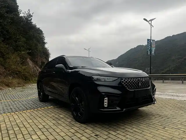 2020 Wey VV7