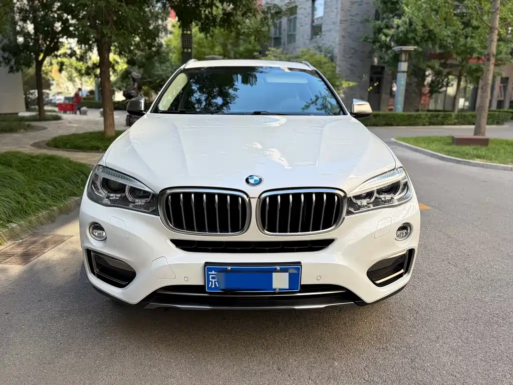 BMW X6 — миниатюра 2