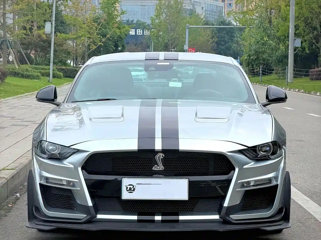 Ford Mustang — миниатюра 2