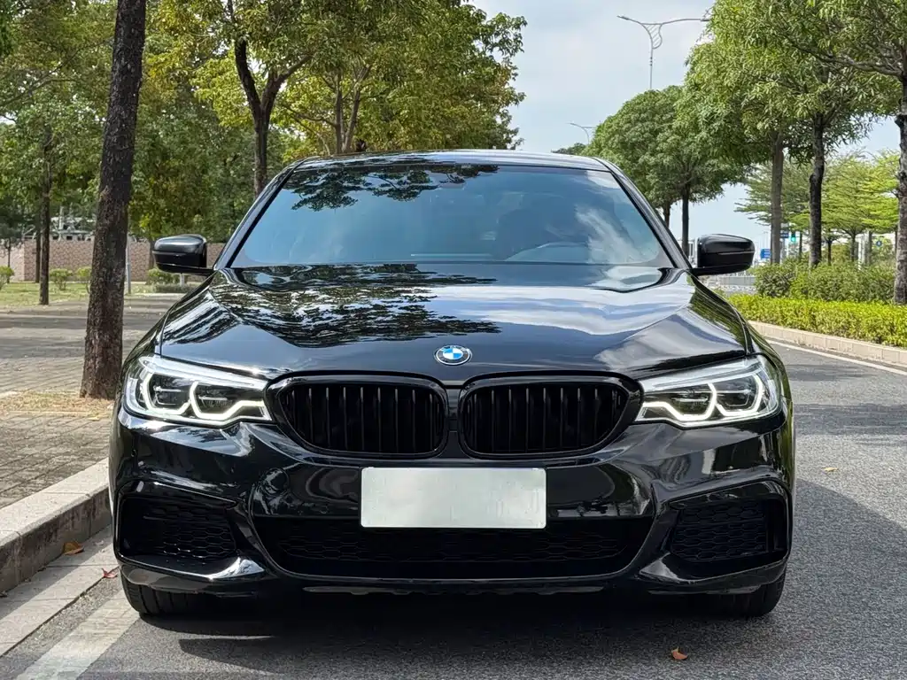 BMW 5 Series — миниатюра 2