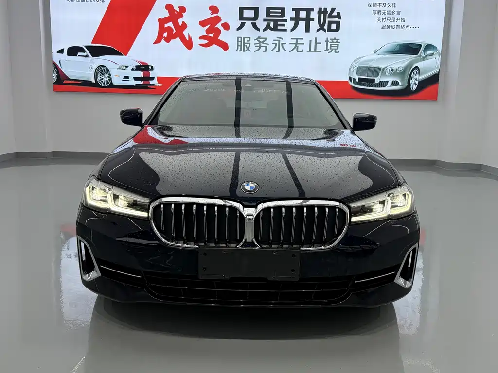 BMW 5 Series 5 2023 530Li Lead Luxury