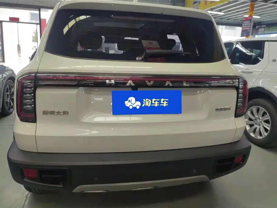 HAVAL BIG DOG