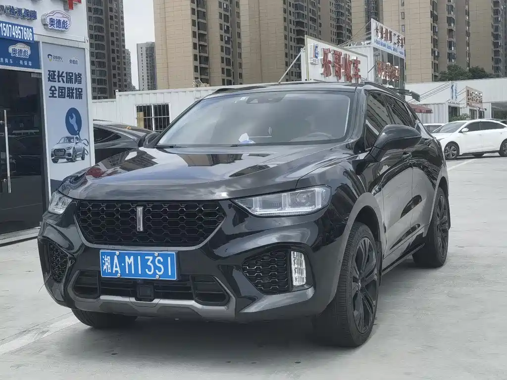 Купить Wey Wey VV5