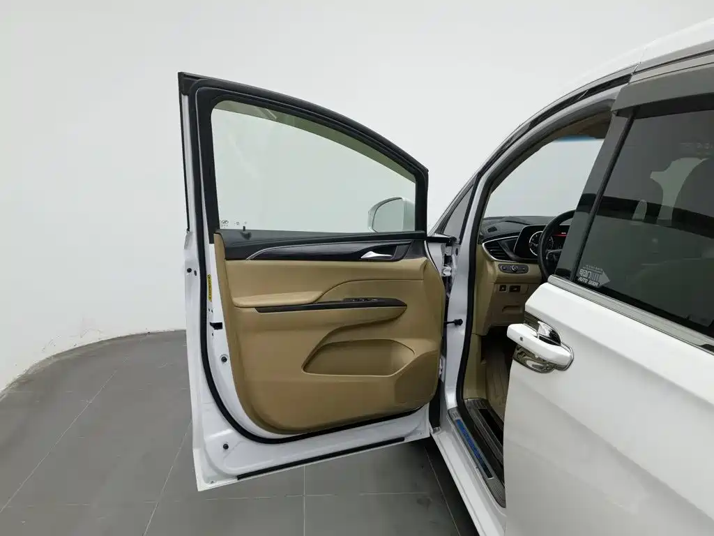 Buick GL8 — миниатюра 8