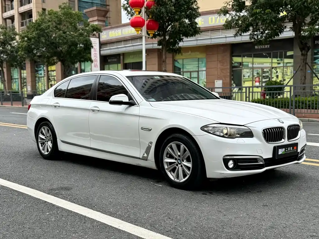 BMW 5 Series 5 2014 520Li Elegant
