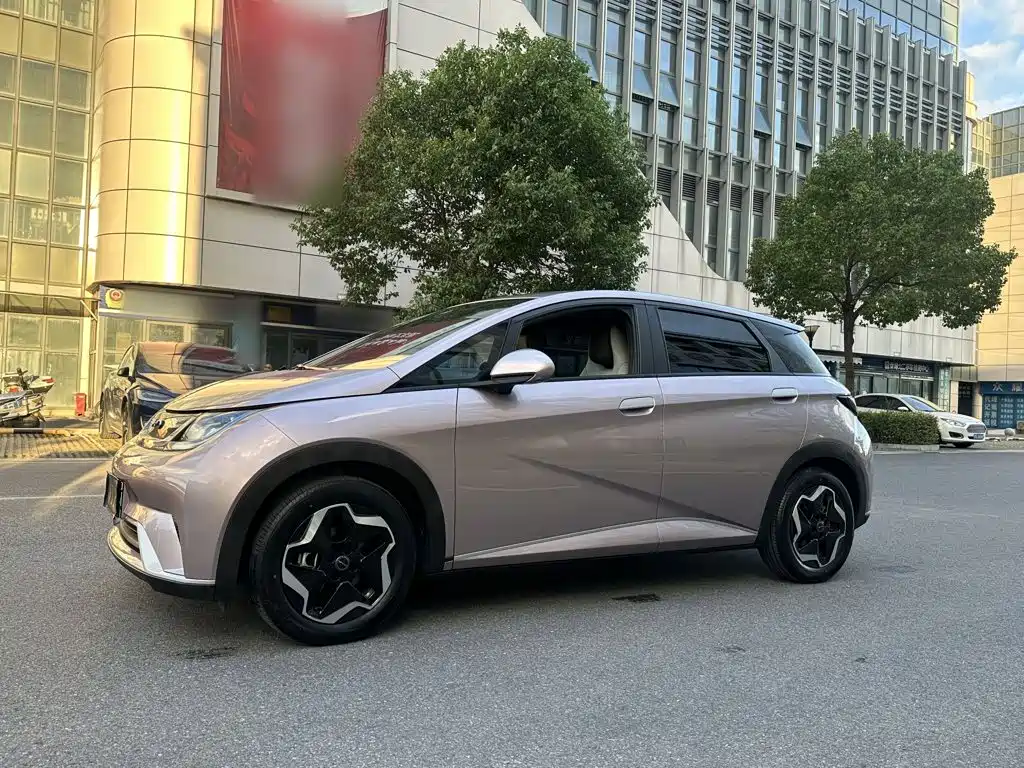 BYD Dolphin — миниатюра 24