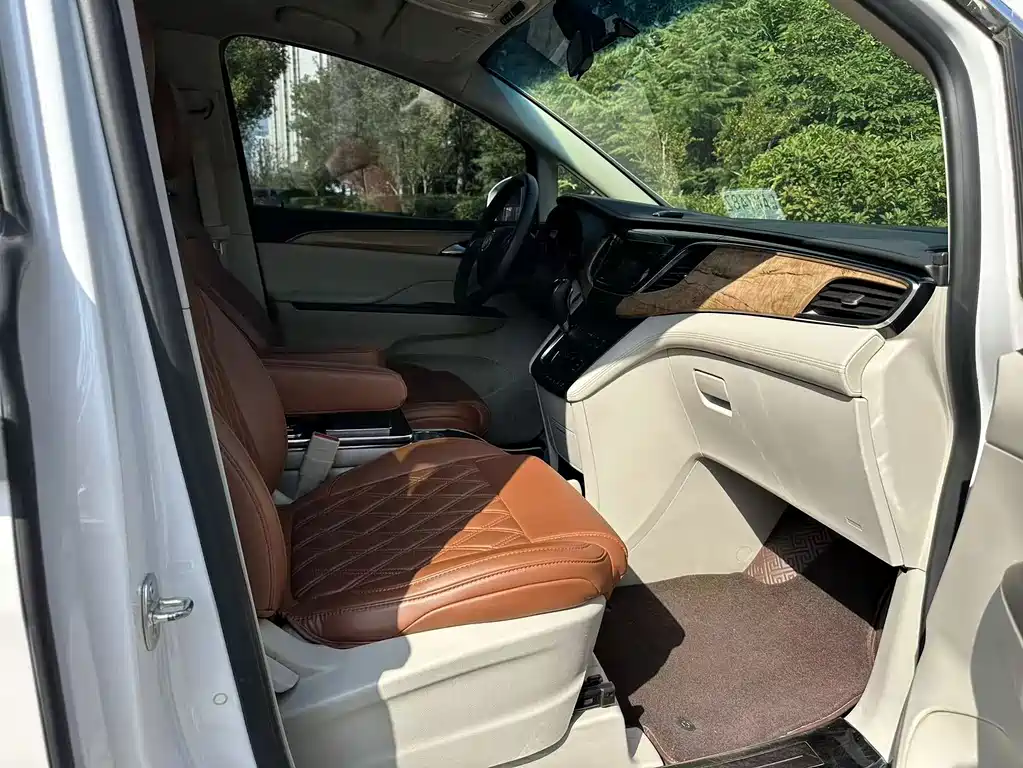 Buick GL8 — миниатюра 13
