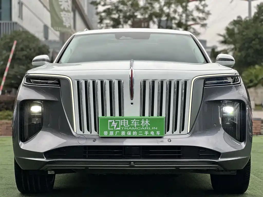 Hongqi HONGQI E HS9