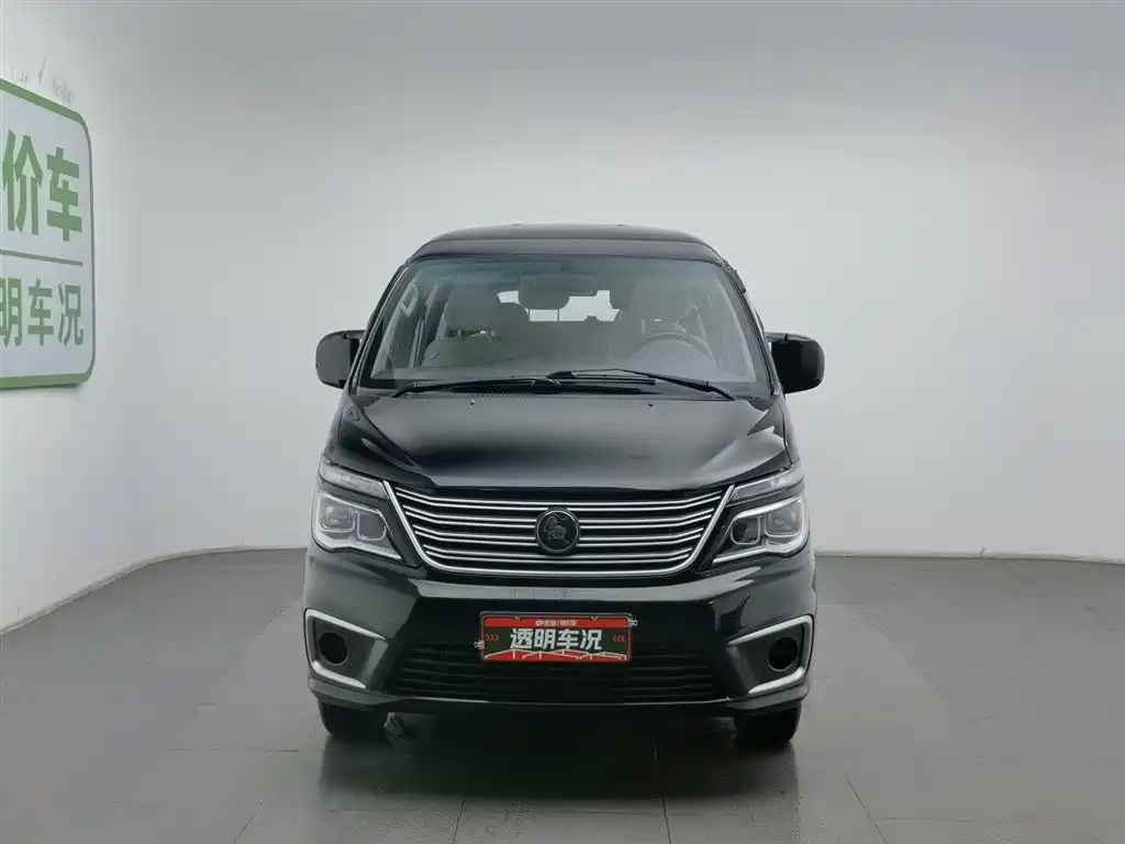 DONGFENG LINGZHI