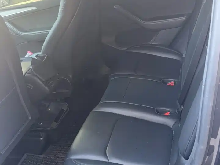 Tesla Model Y — миниатюра 5